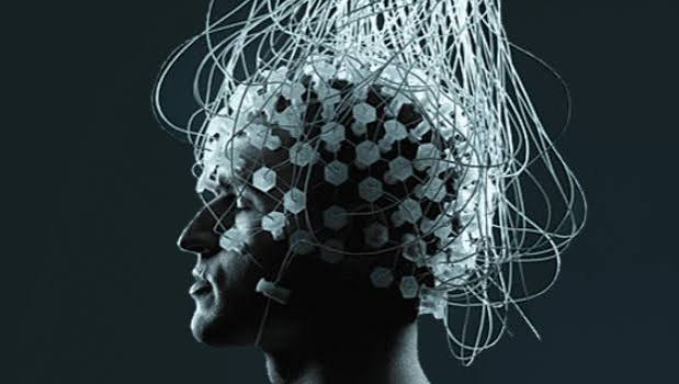 Neurociência e achados clínicos relacionados ao estudo da psicopatia